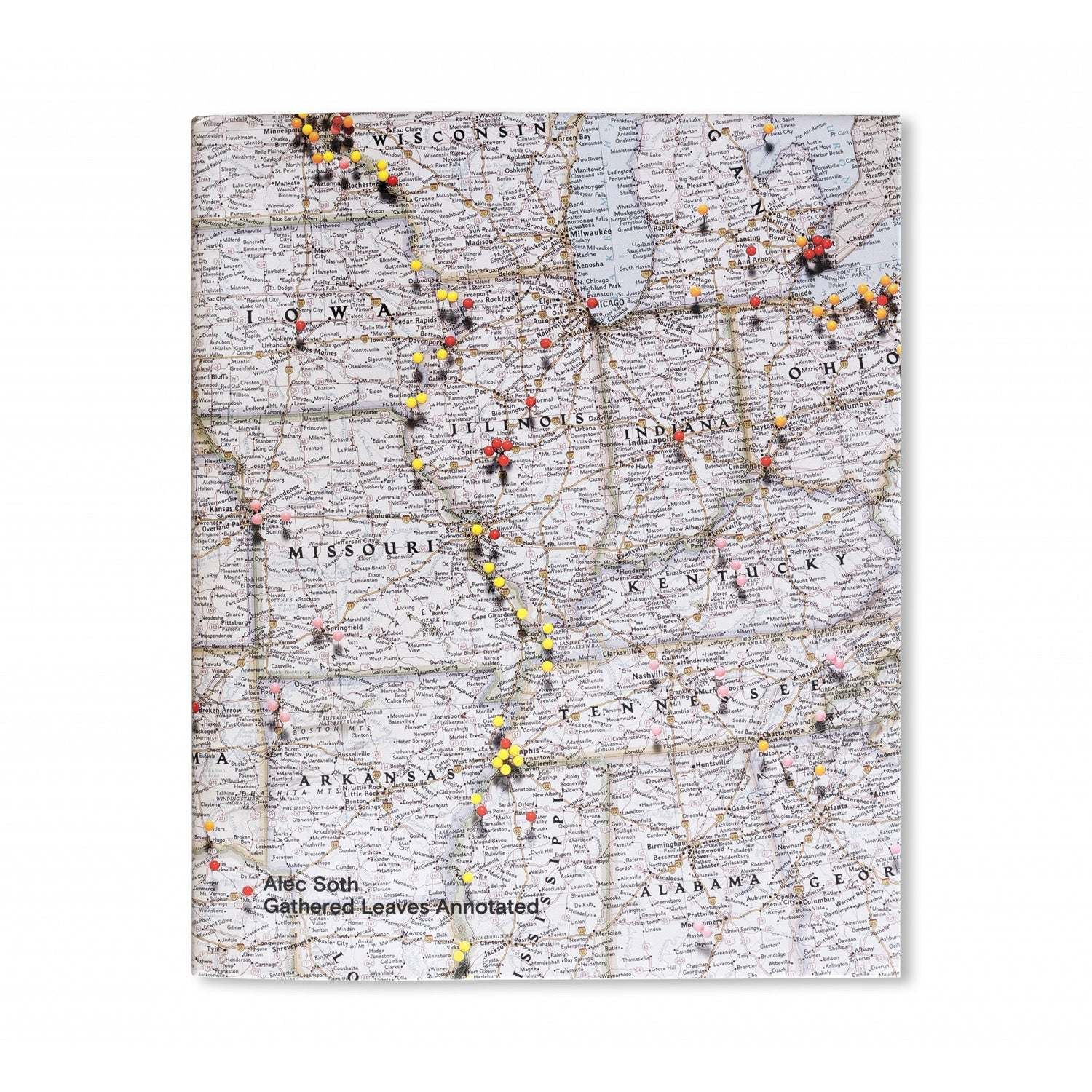 Alec_Soth_Gathered_Leaves_Annotated.jpg