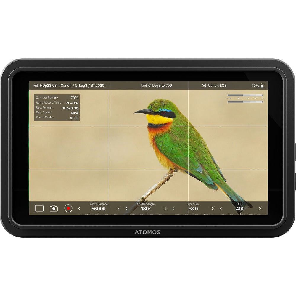Atomos-Shinobi-II-05.jpg