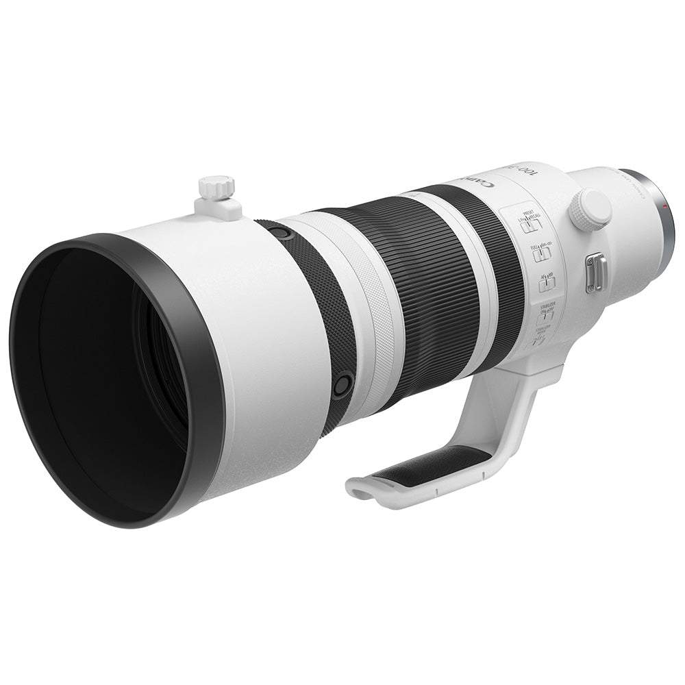 Canon-RF-100-300mm-f2.8L-IS-USM-03.jpg