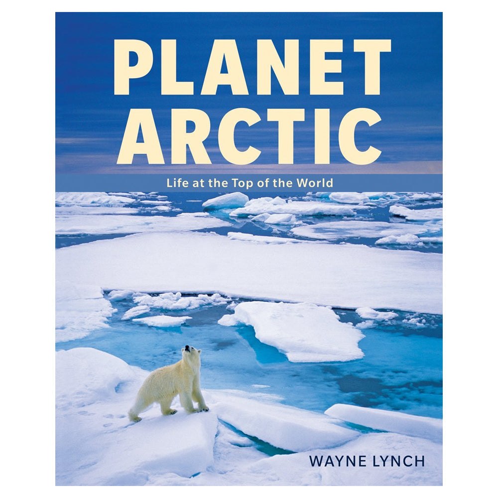 Lynch-Planet-Arctic.jpg