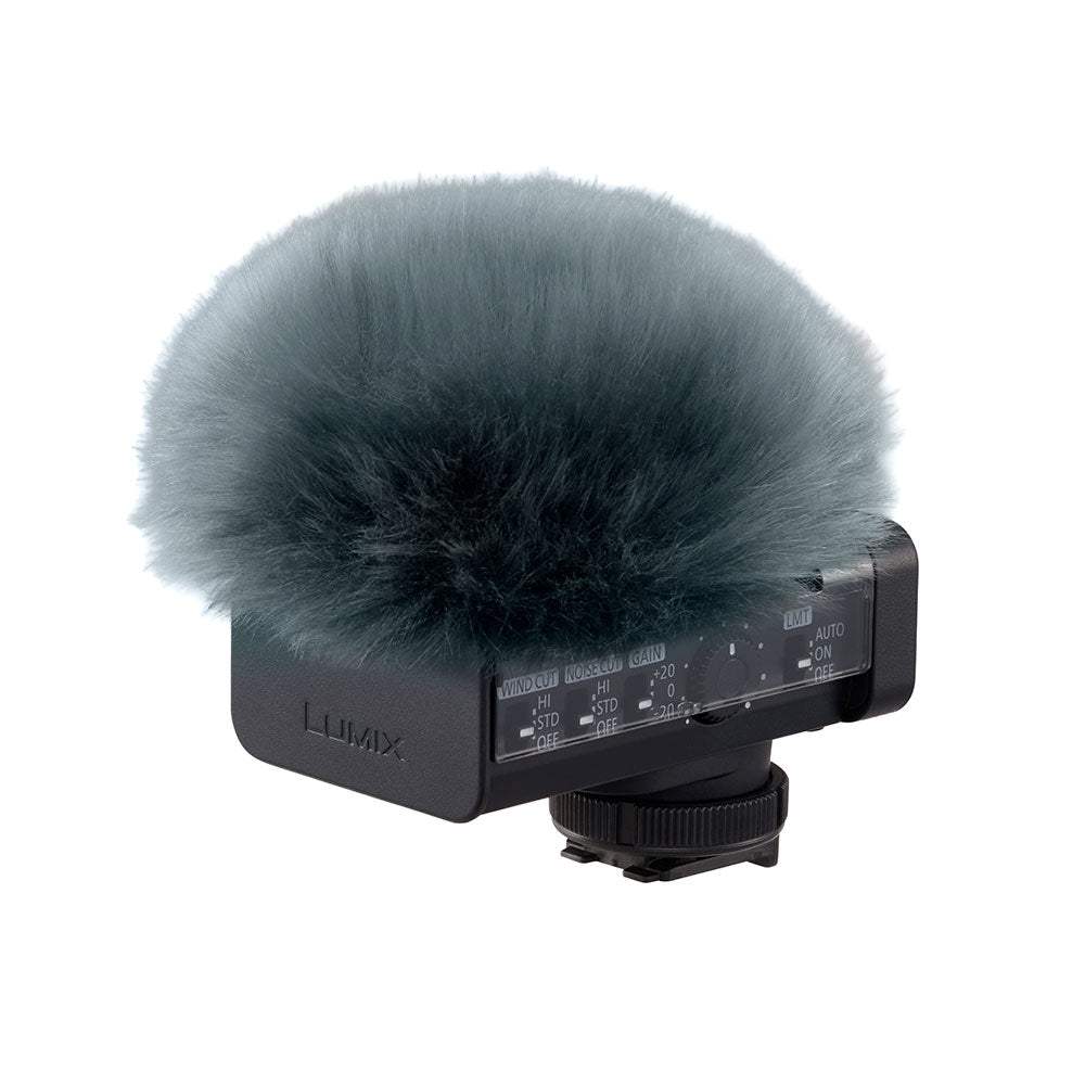 Panasonic-DMS1-05.jpg