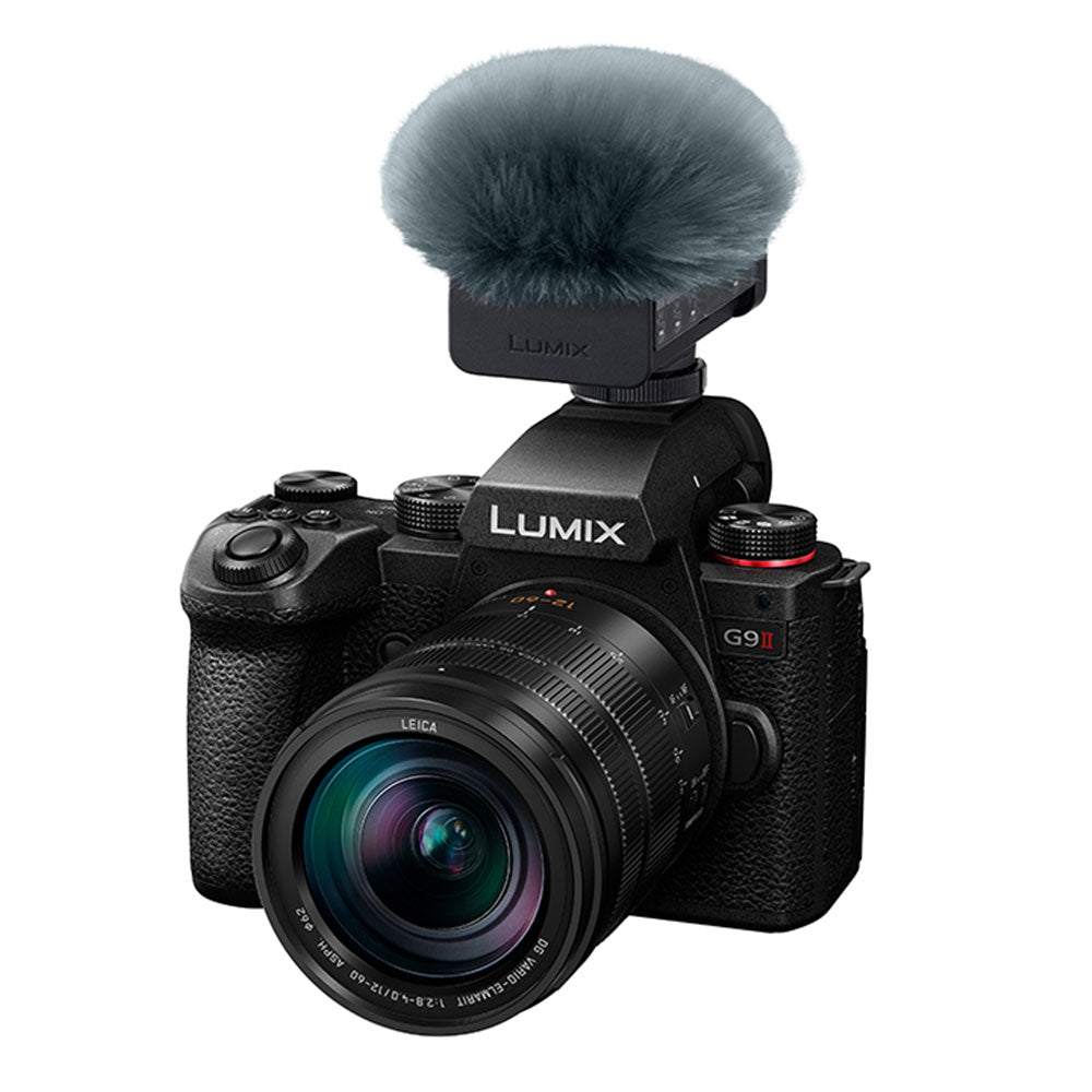 Panasonic-DMS1-06.jpg