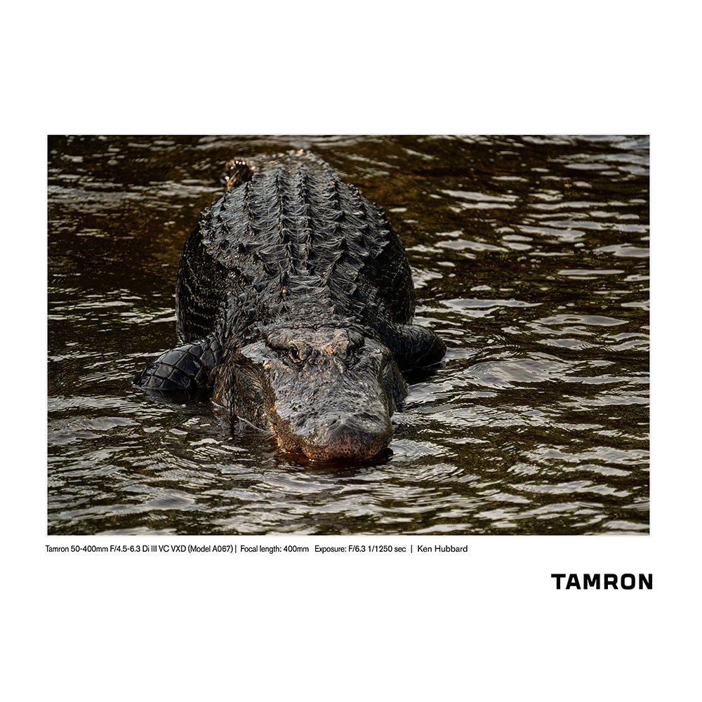 Tamron-50-400mm-f4.5-6.3-Di-III-VC-VXD-Nikon-Z-04.jpg