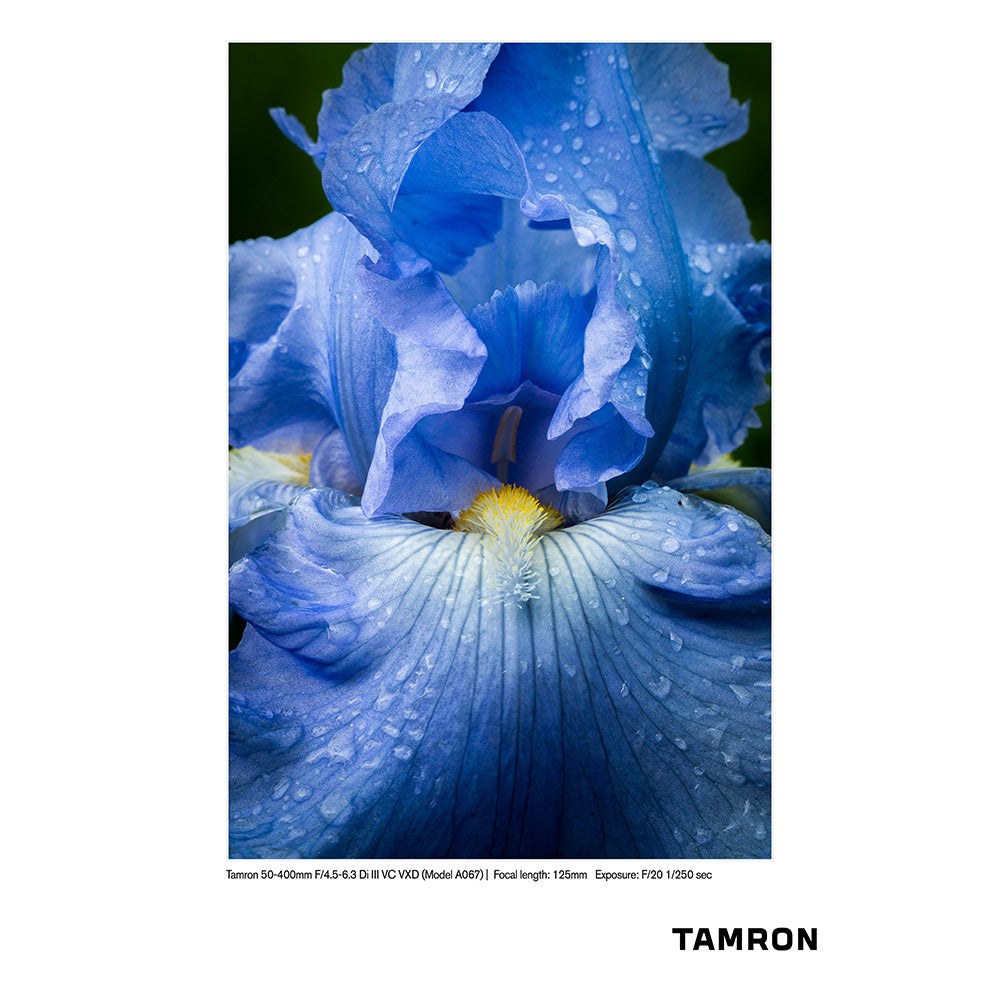 Tamron-50-400mm-f4.5-6.3-Di-III-VC-VXD-Nikon-Z-05.jpg