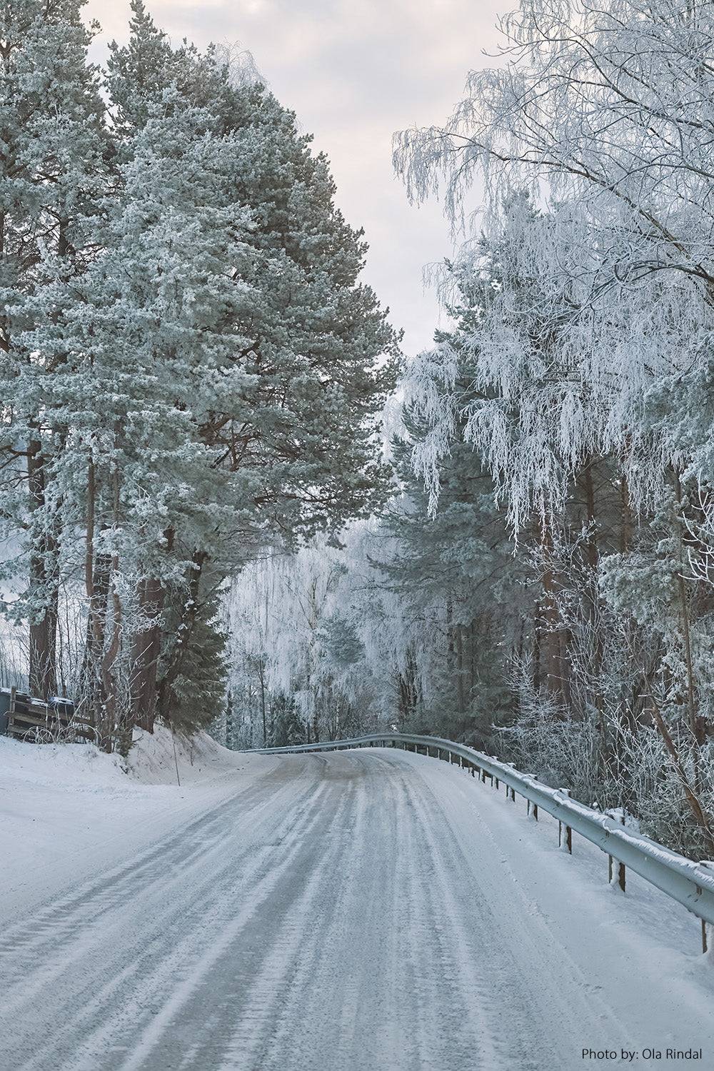 ola_rindal_sample_photo_sigma_bf.jpg